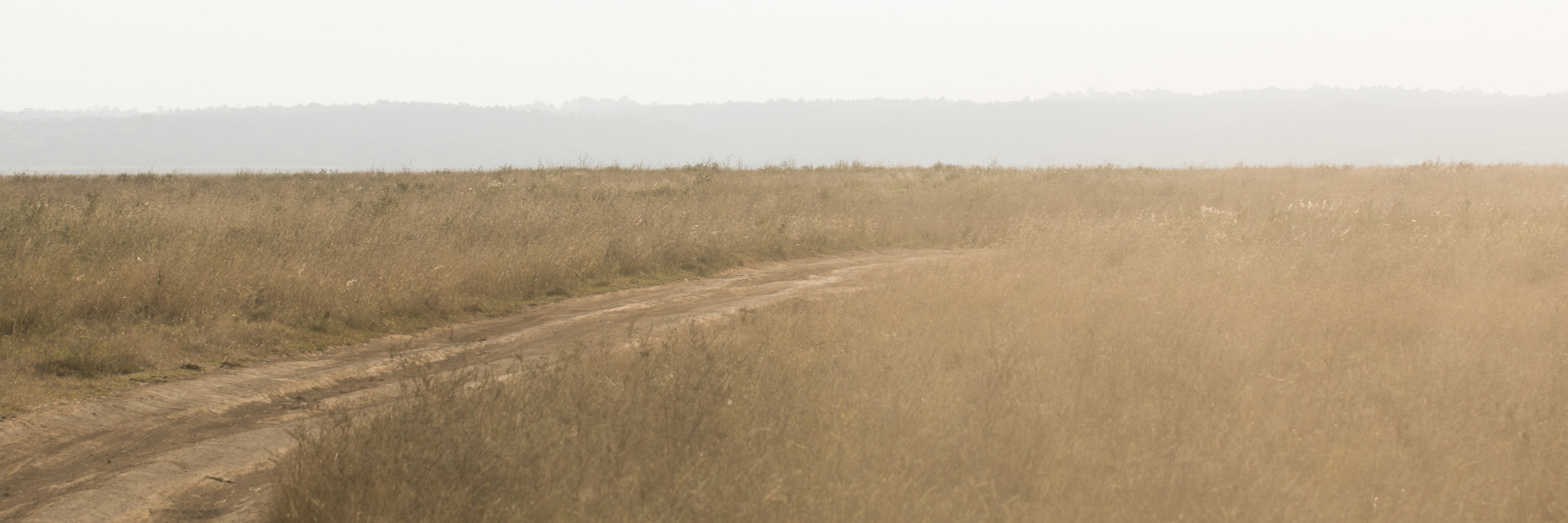 Plains in Kenya